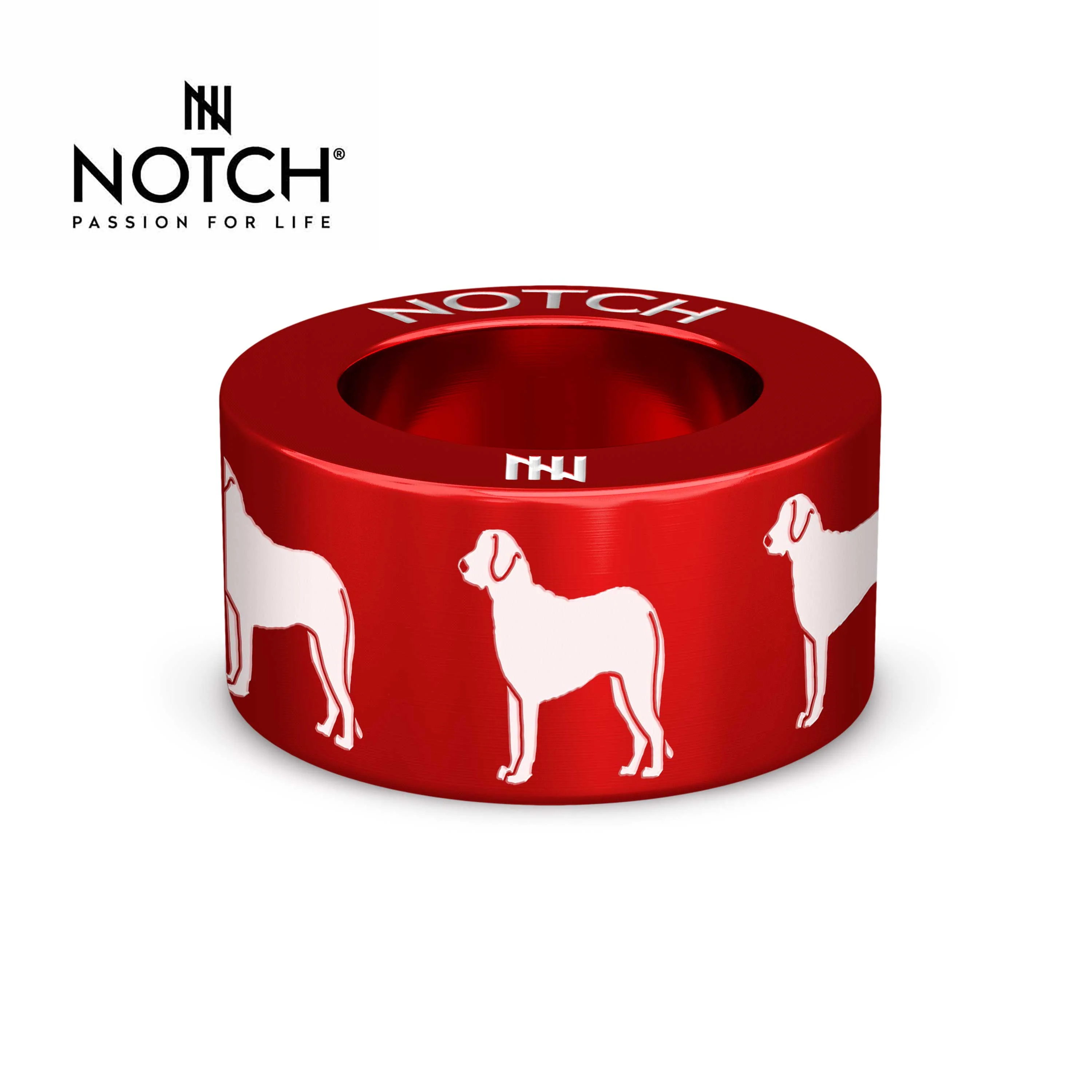 Chesapeake Bay Retriever NOTCH Charm - Image 25