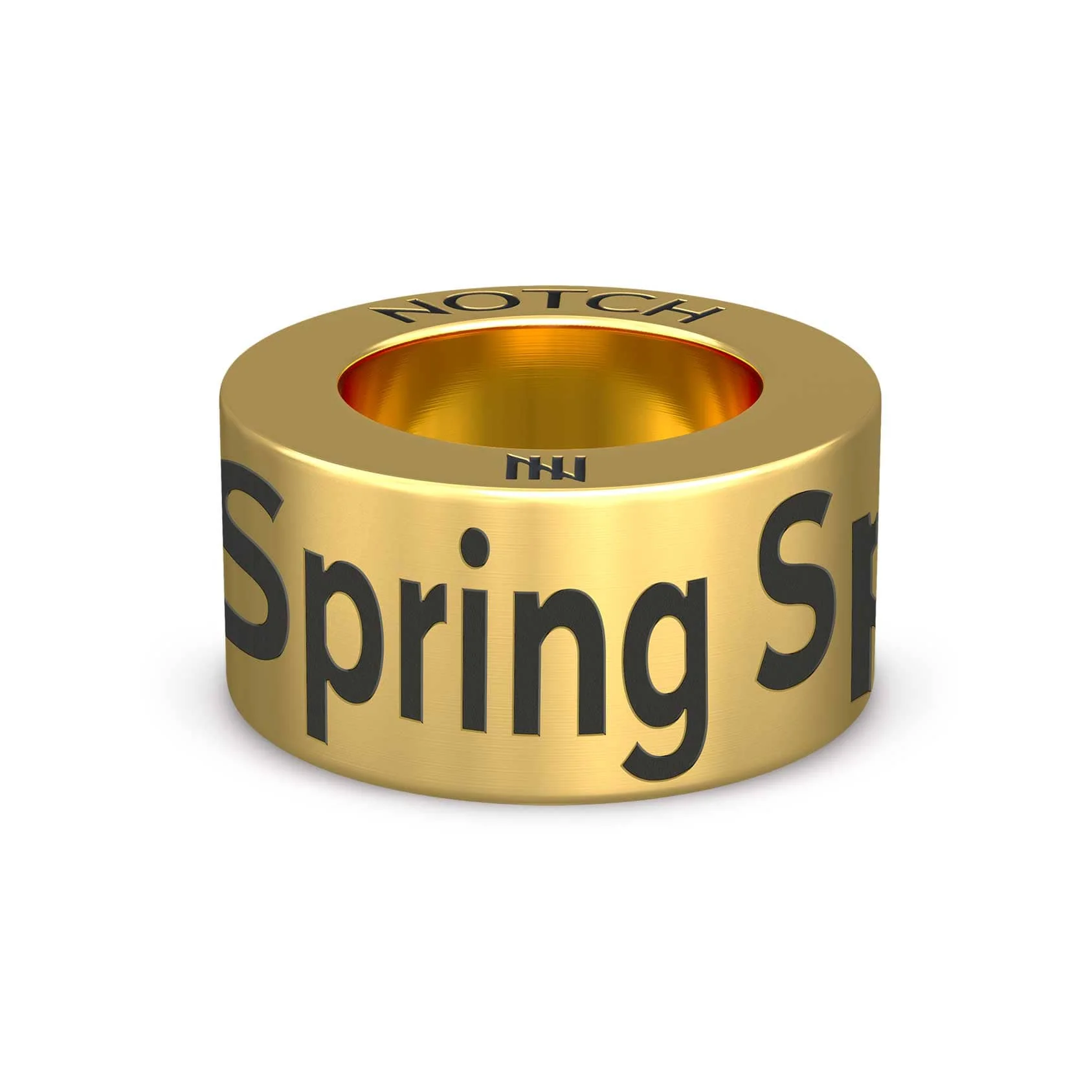 Spring Spin NOTCH Charm