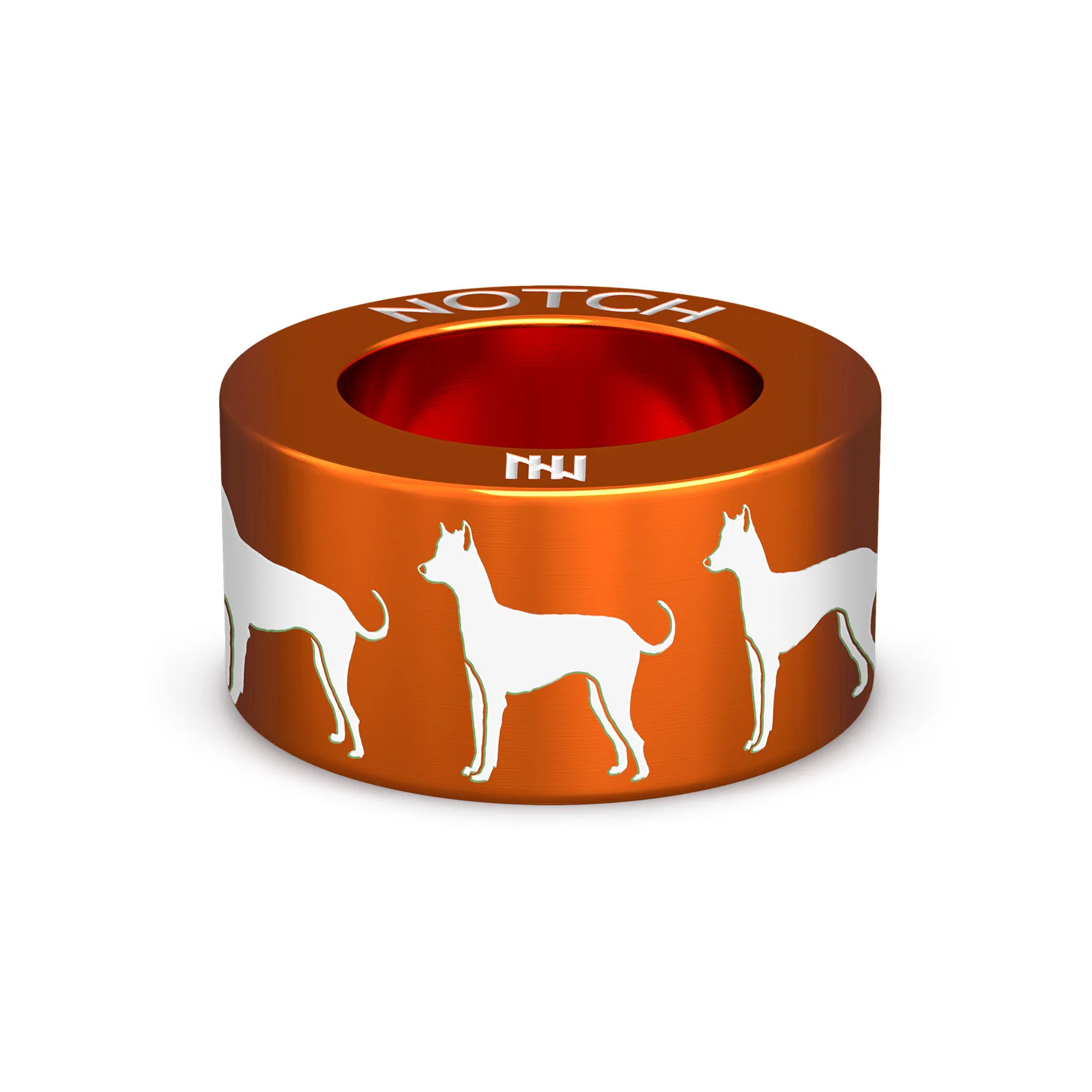 Xoloitzcuintle (Mex Hairless) Int NOTCH Charm - Image 3